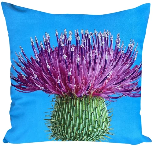 JCL-660 Velours kussensloop distel JCL-660