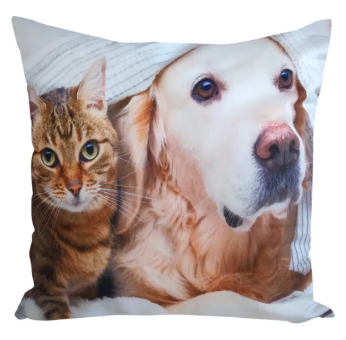 JCL-693 Velours kussenhoes hond en kat JCL-693