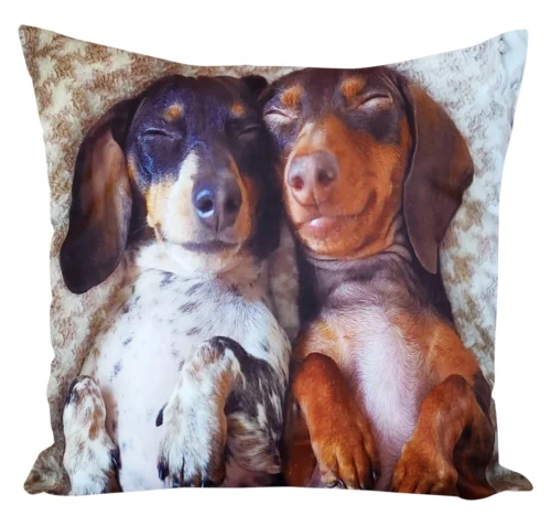 JCL-695 Velours kussenhoes honden JCL-695