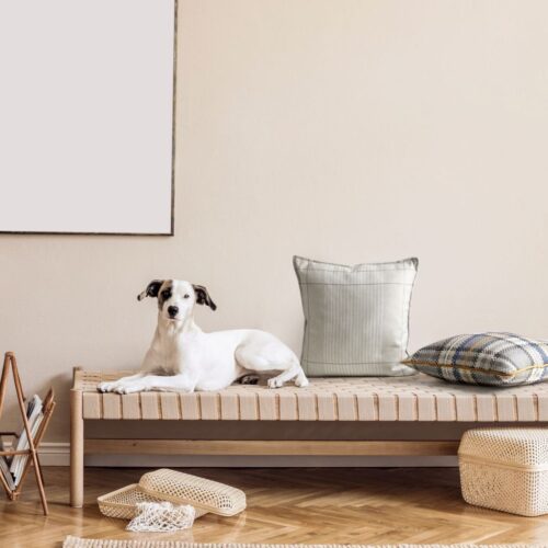 JXY-01a Fluwelen kussensloop met print JXY-01