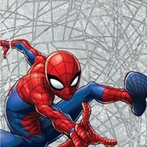 Katoenen handdoek Spider-man RDC-404
