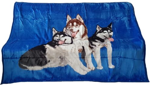 KW-02a Deken KW2 blauw